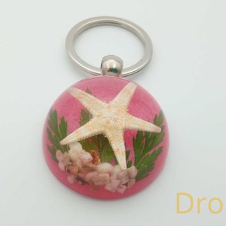 Reálna morská hviezdica v ružovom akryláte ww14