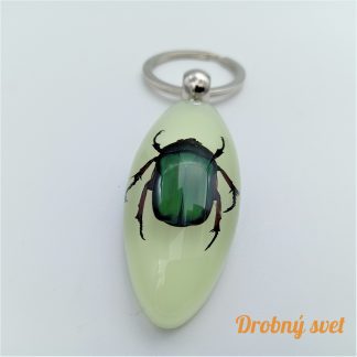 Zelený chrobák v svietiacom akryláte ww29