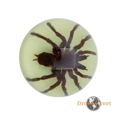 Tarantula v svietiacom akrylovom ťažítku ww203