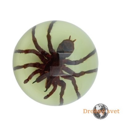 Tarantula  v svietiacom akrylovom ťažítku ww203 - Image 2