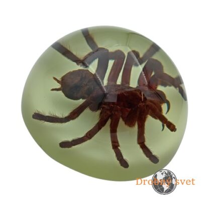 Tarantula  v svietiacom akrylovom ťažítku ww203 - Image 3