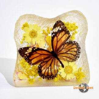 Motýľ na kvetoch v ťažítku ww220